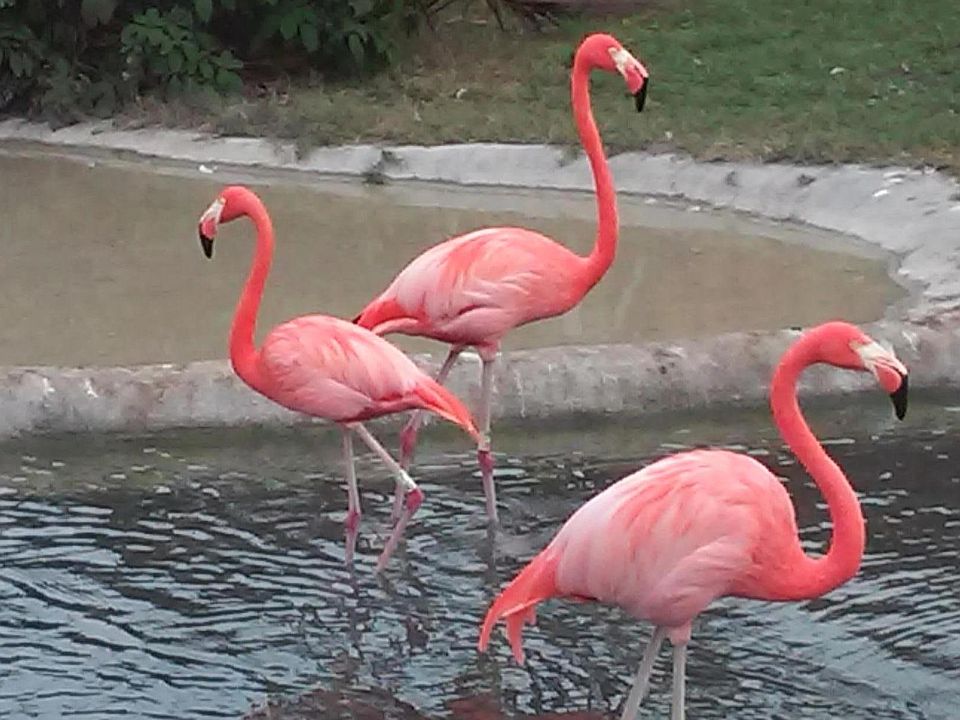 Enjoy all Florida