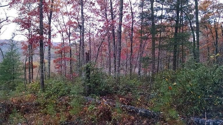 1st image of 0 Serenity Point Lot 1