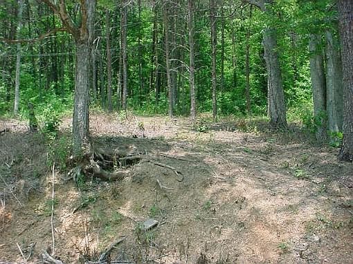 2nd image of 135 McLemore Ln