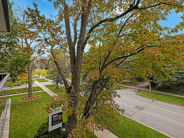 650 Waterloo St — Photo 15