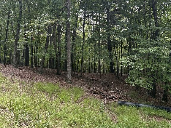 5th image of 1.5 Liberty Hill Rd