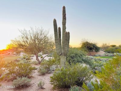 19838 N 84th St, Scottsdale, AZ, 85255