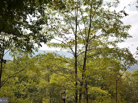2nd image of 0 Mountain Side Dr