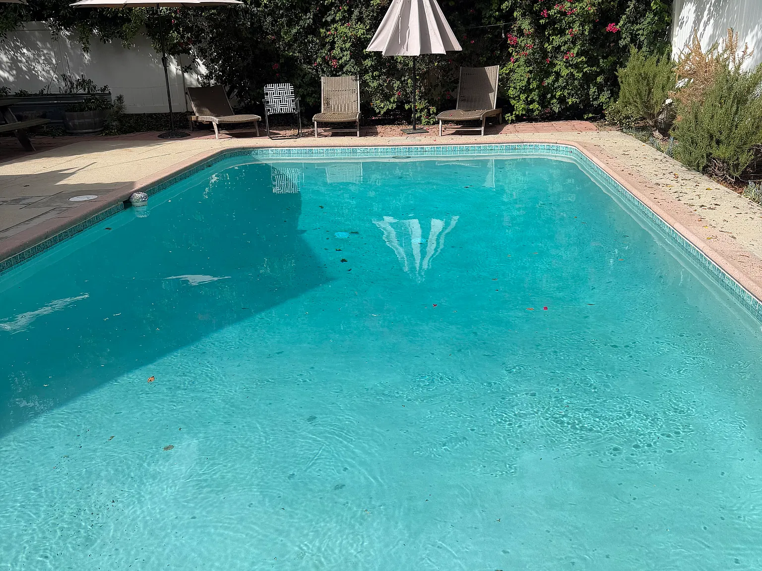 2 bed, 930 sqft, $4,000 — Photo 4