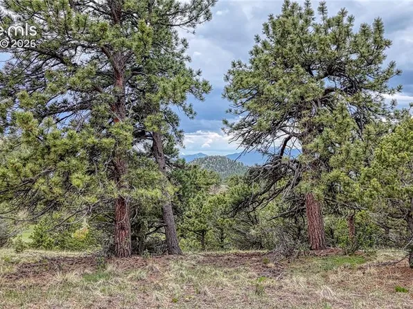 44 Honeysuckle Ter, Westcliffe, CO 81252