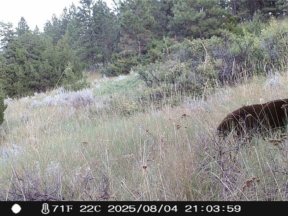 3rd image of 69 Jacobs Hill Rd