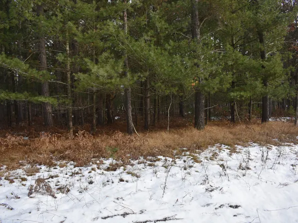 Lovells Rd, Grayling, MI 49738