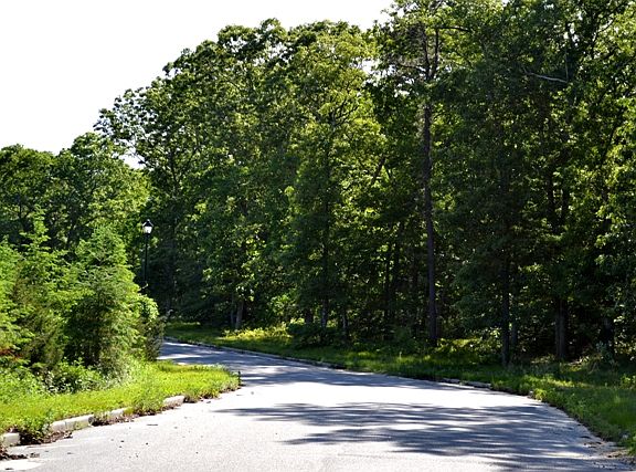 4th image of Gateway East Dr Lots 1 #7