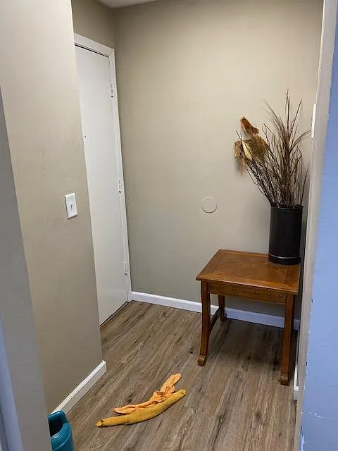Front door