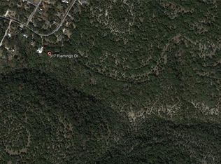 317 Flamingo Dr, Austin, TX 78734