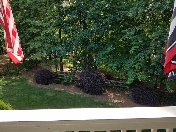 Backyard View From Deck