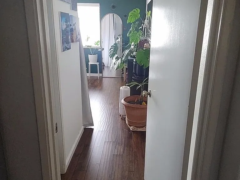 2 Bingham Cir — Photo 7