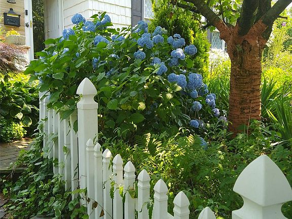 3rd image of 1155 Webster Avenue