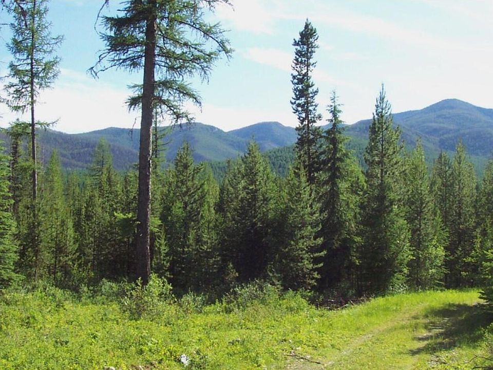 Nhn Trail Creek Rd, Polebridge, MT 59928 MLS 22205738 Zillow