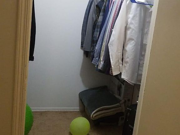 Walk-in closet in master bedroom
