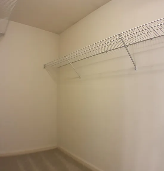 Rear Bedroom Walk-in Closet