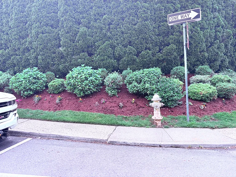 Wallace St — Photo 14