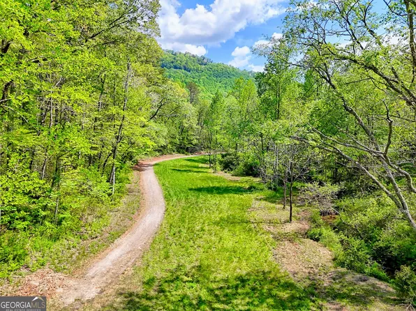 0 Highway 246, Dillard, GA 30537