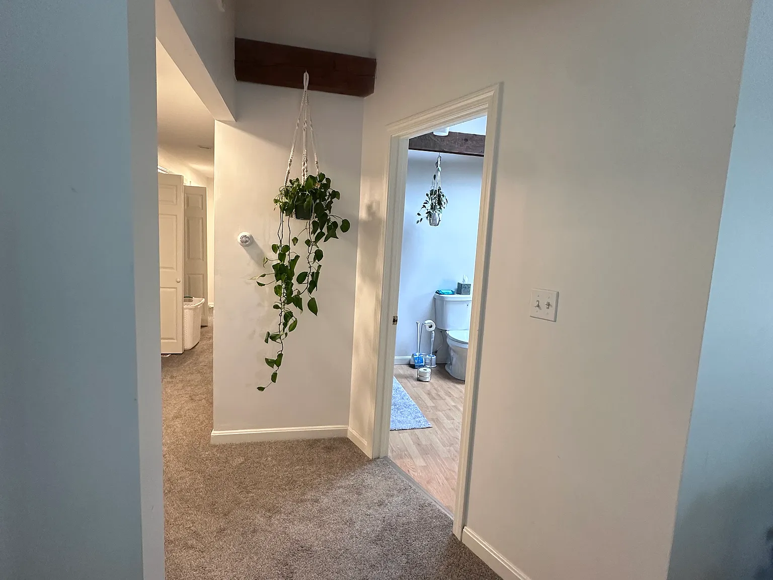 3 bed, $3,000 — Photo 2