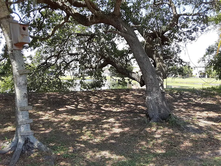 5619 Colonial Oaks Blvd — Photo 30