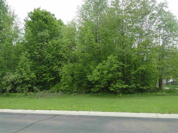 11288 Grand Oaks Dr, Clio, MI 48420