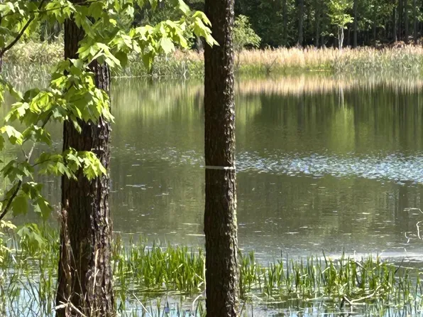 290 Bear Trace Dr Lot Rb 201, Jasper, TN 37347
