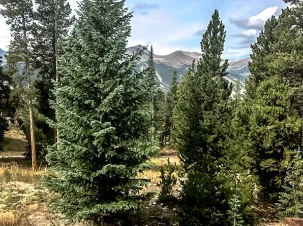 1012 Atlantic Lode Rd, Breckenridge, CO 80424