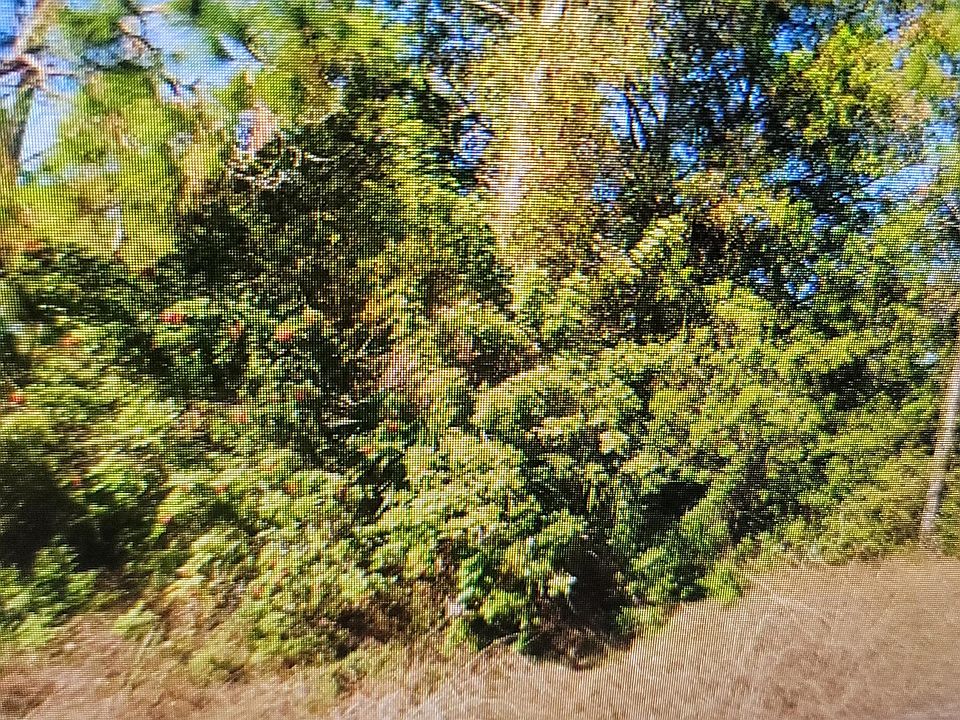 1st image of 1023 Acacia Avenue