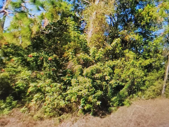 1023 Acacia Avenue, Lehigh Acres, FL 33972