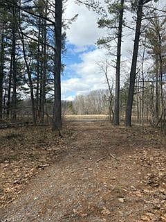 2nd image of 97 Greenly Rd