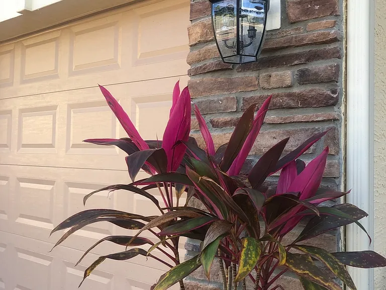 9706 SW Purple Martin Way — Photo 6