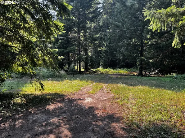 N Bank Rd, Blue River, OR 97413