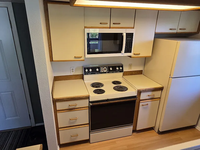 Kitchen with New Microwave installed June 2026, Electric oven and cooktop, refrigerator /freezer.