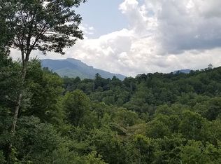 499 Peaceful Haven Dr UNIT 731, Boone, NC 28607