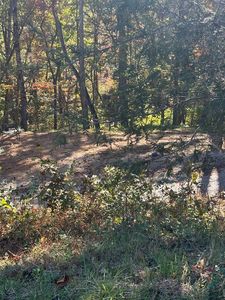 78 Vinings Point, Hayesville, NC, 28904