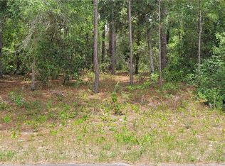 9169 N Saponaria Dr, Citrus Springs, FL 34433