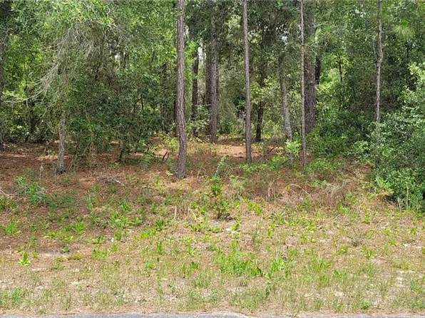 9169 N Saponaria Dr, Citrus Springs, FL 34433