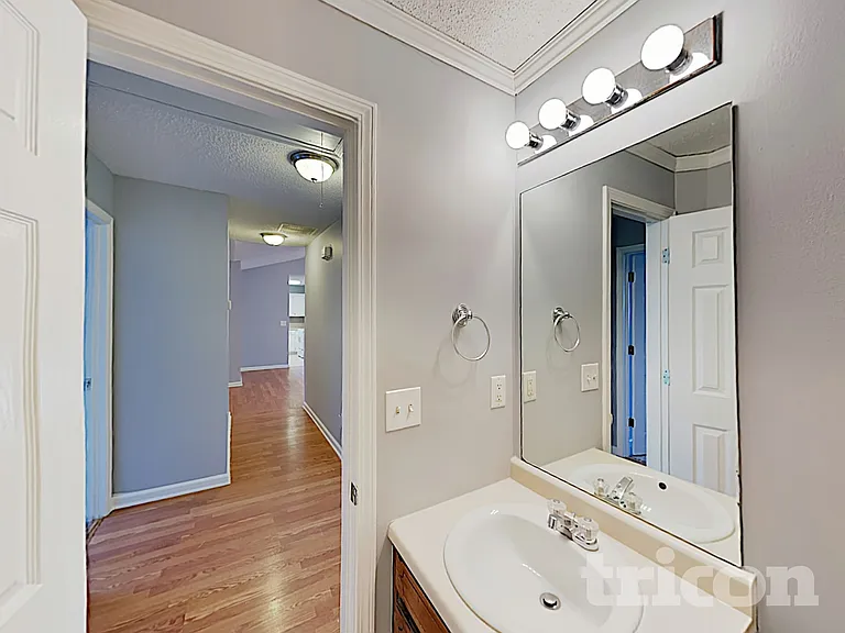 222 Amelia Creek Way — Photo 12