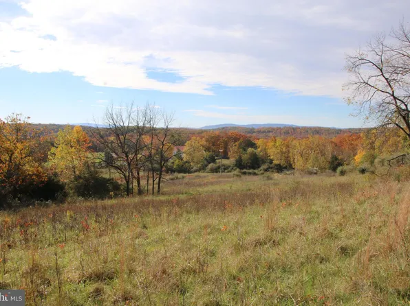 Back Mountain Rd, Winchester, VA 22602