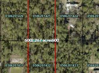4430 Susan St, Hastings, FL 32145