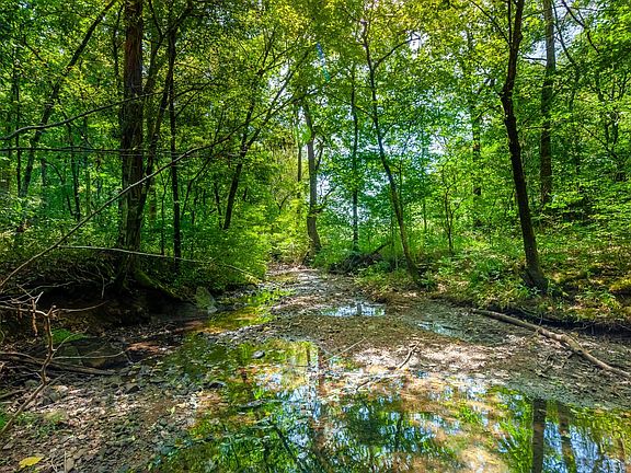 Creek