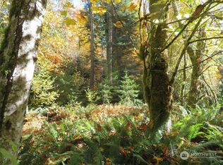 0 Grimes Rd, Toledo, WA 98591