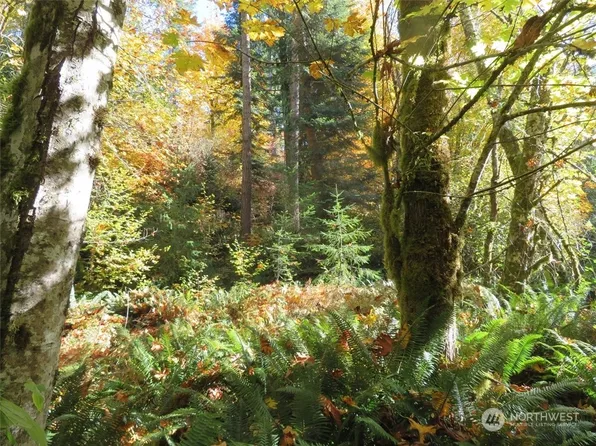 0 XXX Grimes Road, Toledo, WA 98591