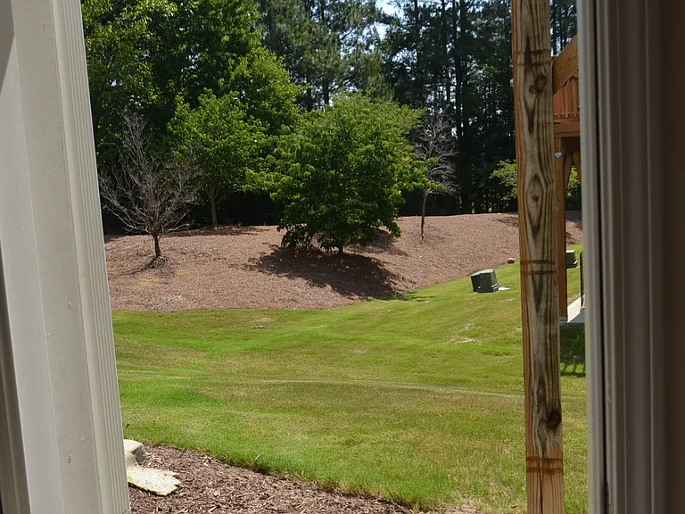 1021 Diamond Dove Ln — Photo 19