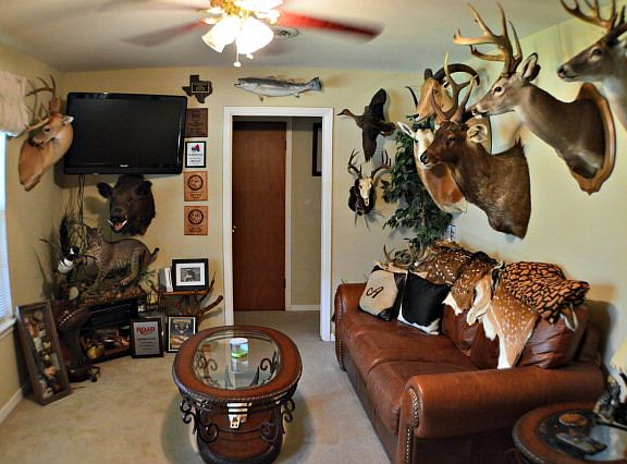 2nd image of 539 Willowick Dr