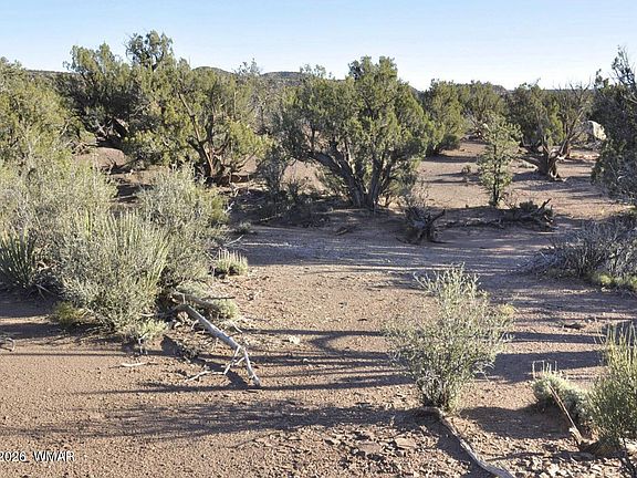 4th image of 3687 Damron Valley Rd