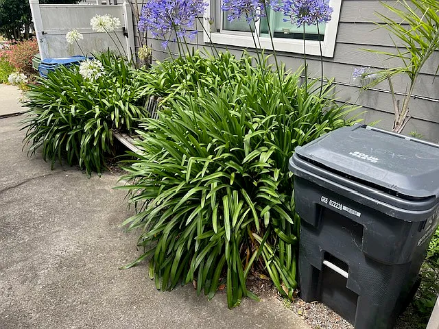 Crystal St — Photo 20