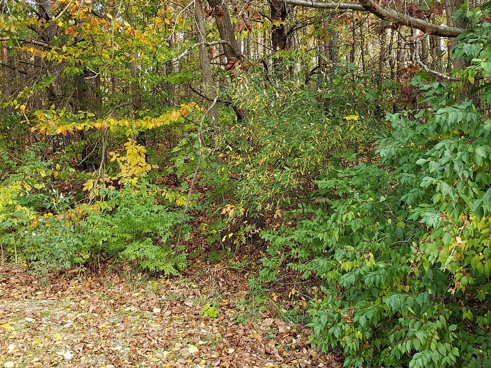 2nd image of E Sager Rd