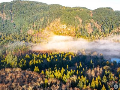 0 Roy Road, BELLINGHAM, WA, 98229