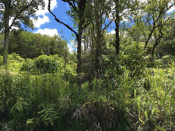 5th image of 16-1569 Road 2 Lot 2896